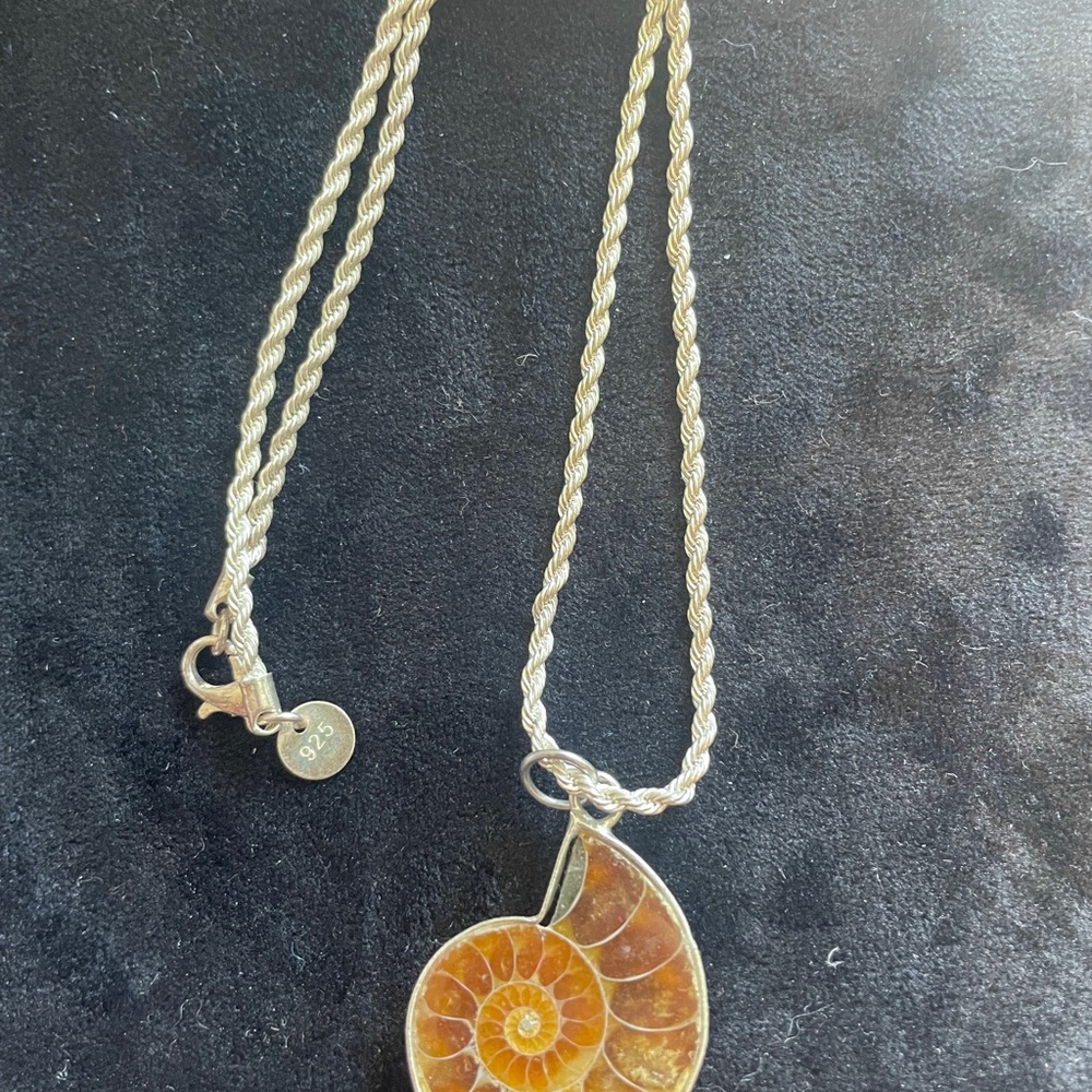 Elegant Silver Nautilus Pendant Necklace